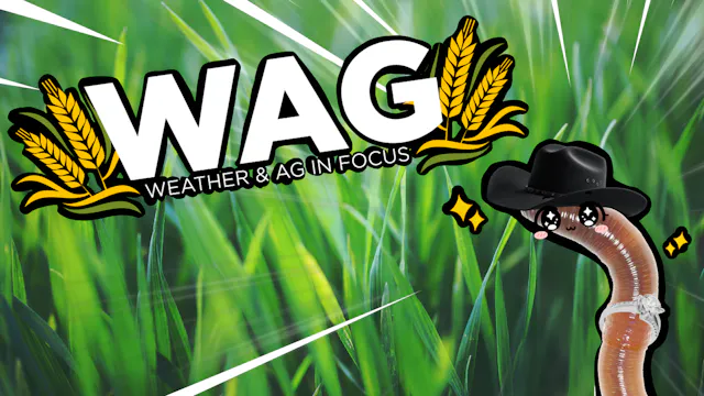 THAT AI in Ag | WAG in Focus 05-14-26