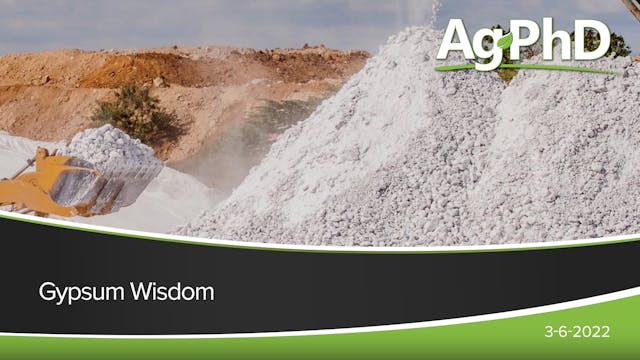 Gypsum Wisdom | Ag PhD