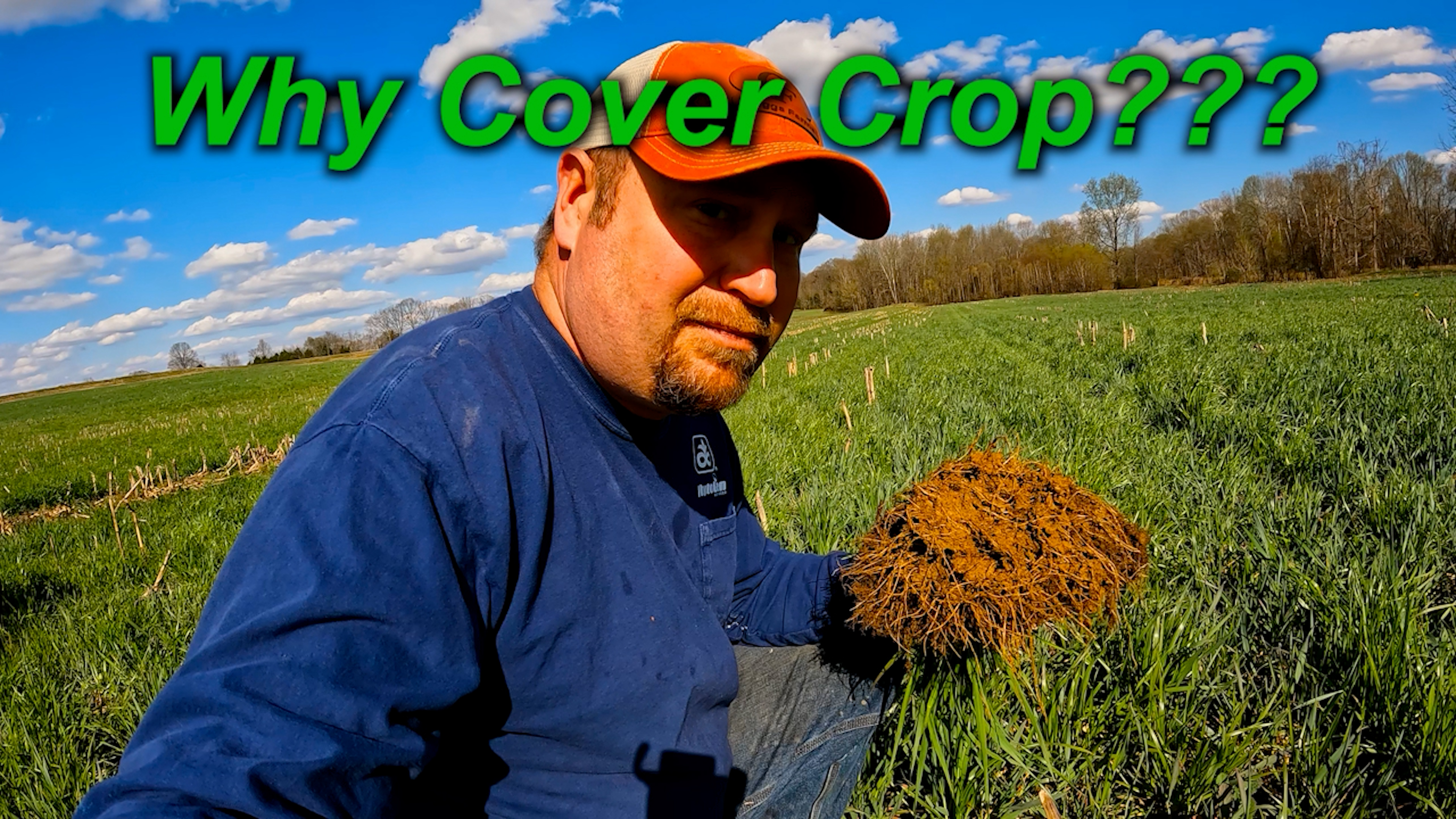 Why Cover Crop???  A Look At Our Soil Improvement.| Griggs Farms