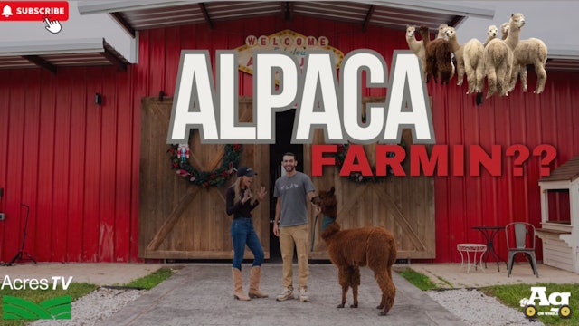 Ag on Wheels | Alpaca Farmin Down South - Alpaquita Ranch