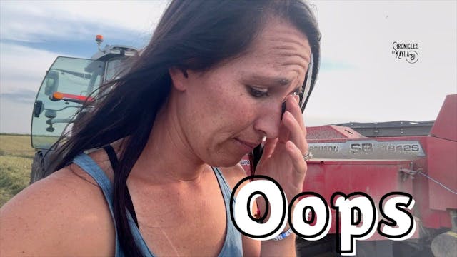 3rd Cut Alfalfa | Chronicles of Kayla