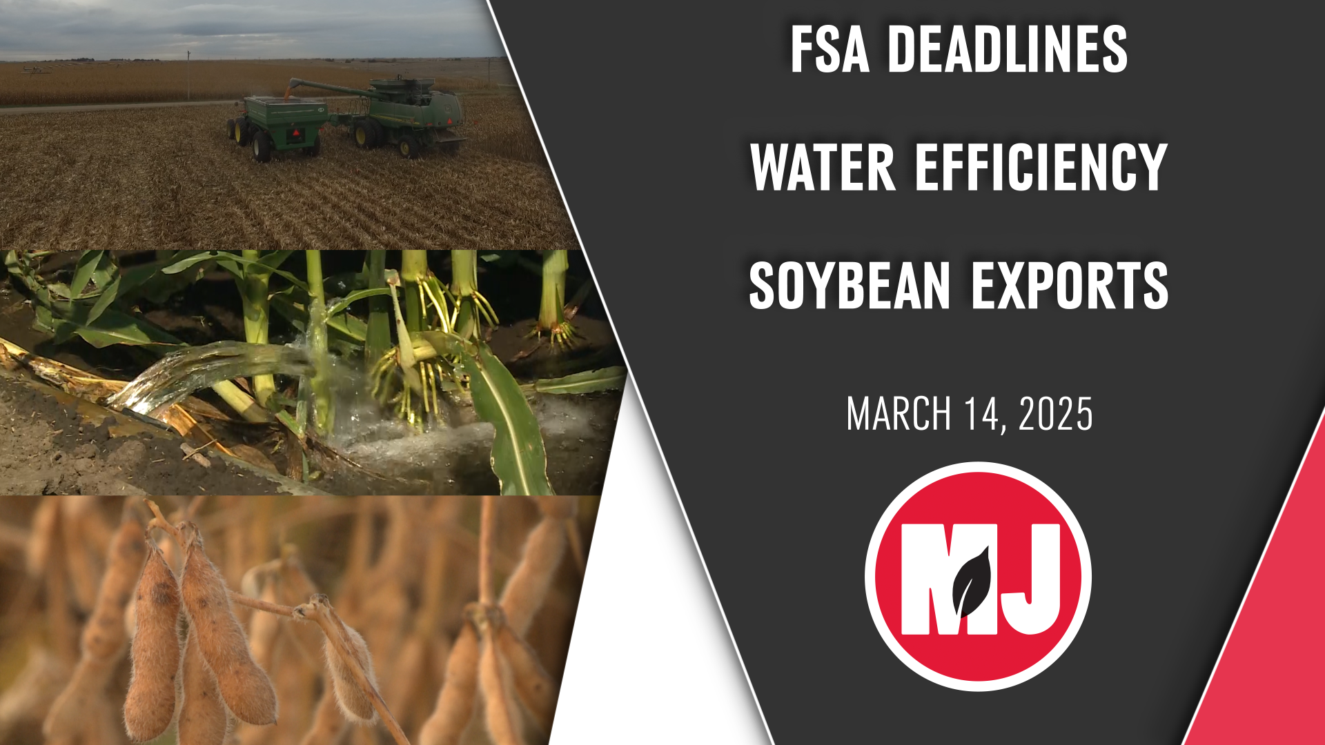 March 14, 2025 | Market Journal