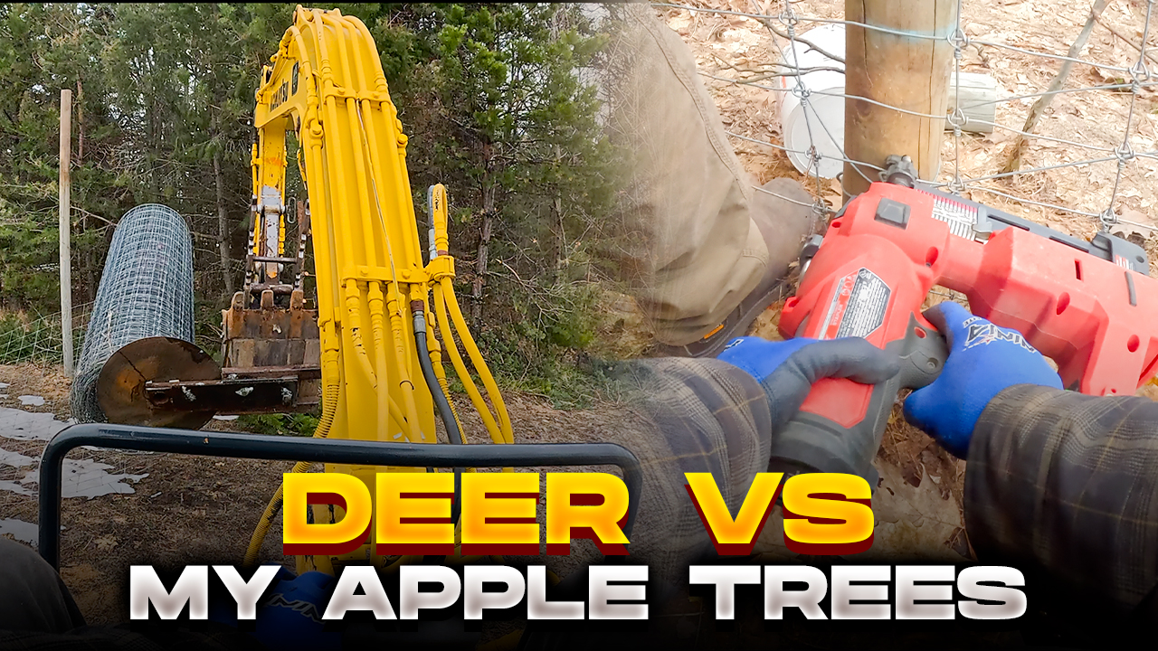 The Fence That FINALLY Stopped the Deer!! | Pomes and Stones