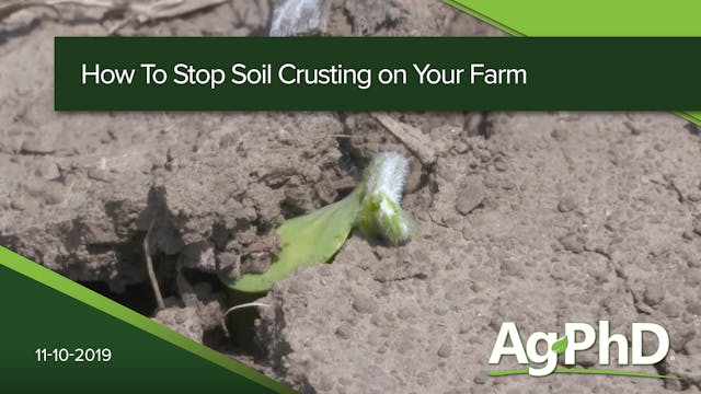 How to Stop Soil Crusting on Your Far...