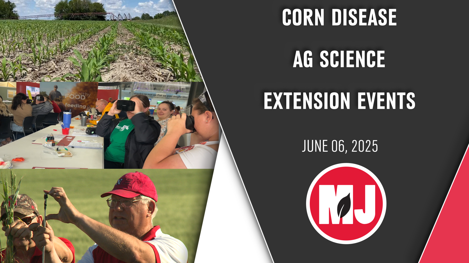 June 06, 2025 | Market Journal