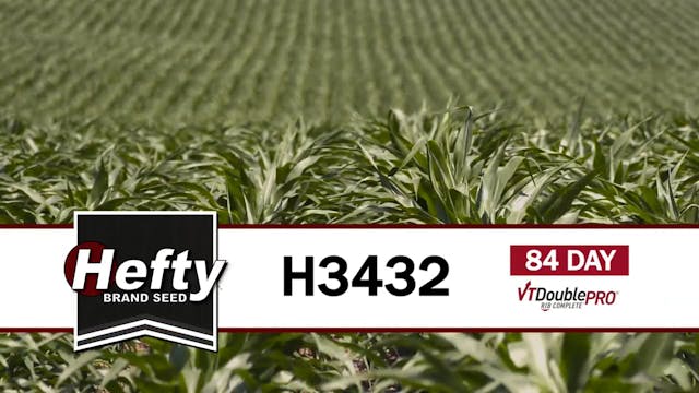 H3432 | 84-Day | VT2P