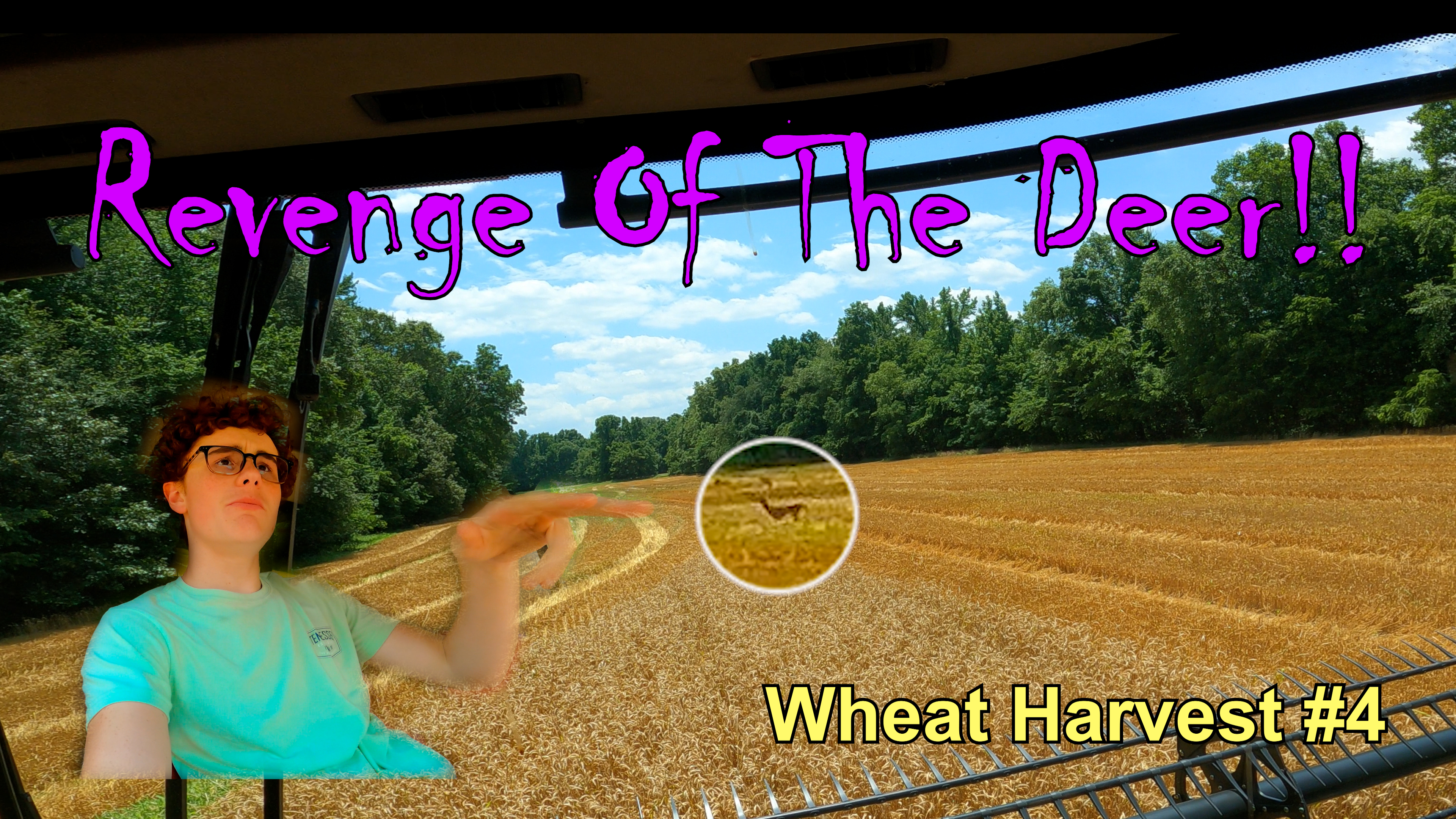 Revenge Of The Deer!! Wheat Harvest #4 | Griggs Farms
