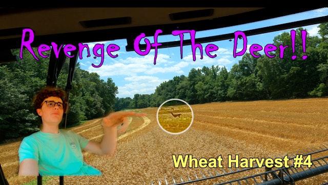 Revenge Of The Deer!! Wheat Harvest #4 | Griggs Farms