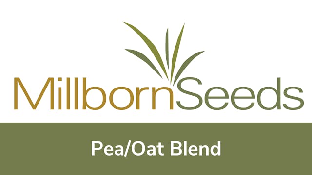 Millborn Seeds - Pea/Oat Blend