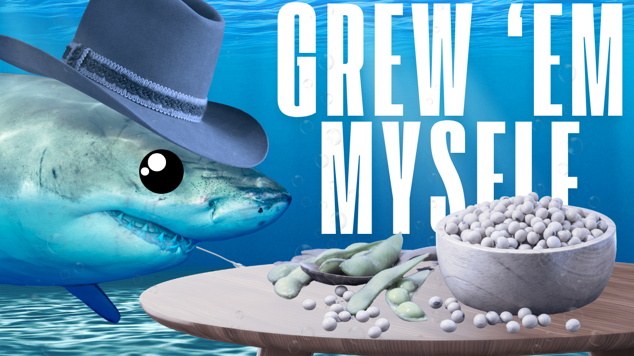 Farmers Raise It, Consumers Might Want To Eat It! | WAG in Focus 01-09-25