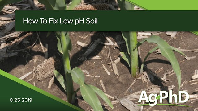 How to Fix Low pH Soils | Ag PhD