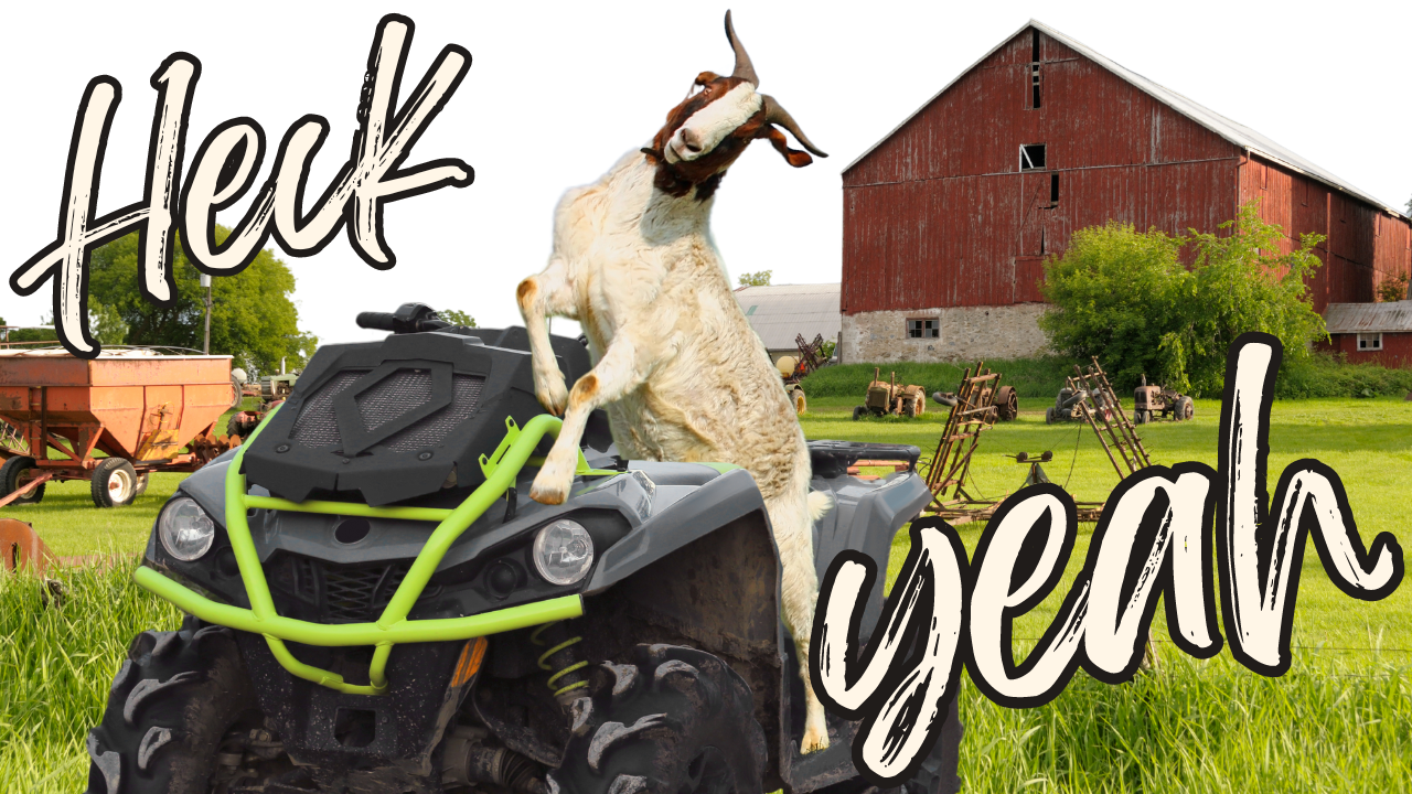 You’re Gonna Need a License for That | WAG in Focus 08-04-25