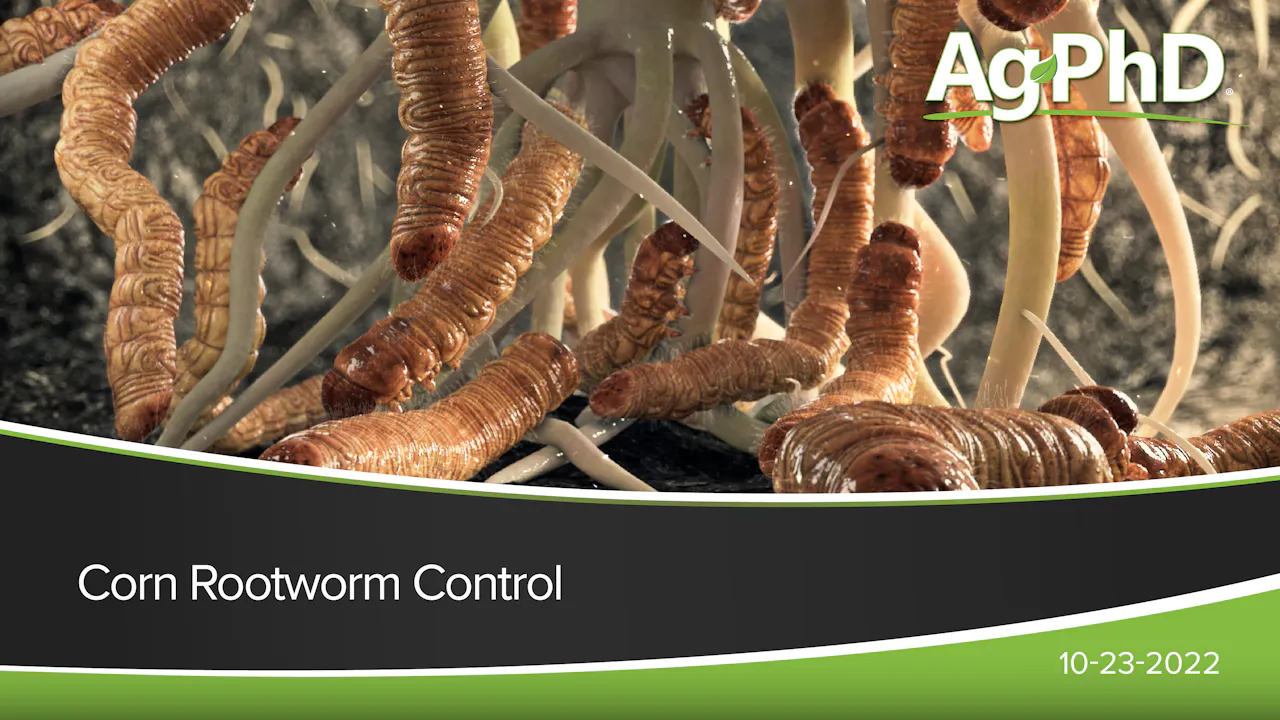 Corn Rootworm Control | Ag PhD - 2022 - AcresTV