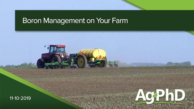 Boron Management on Your Farm