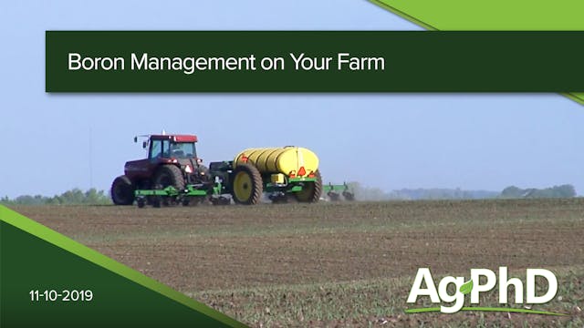 Boron Management on Your Farm | Ag PhD