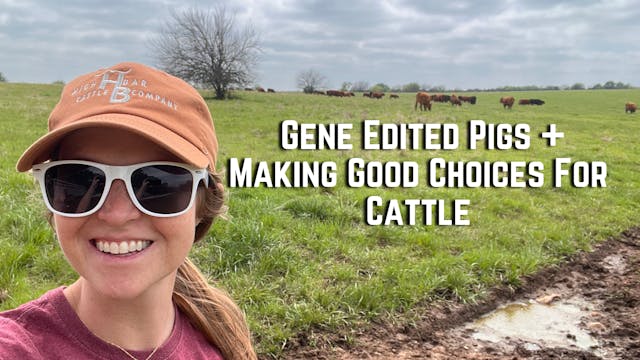 Gene-Edited Pigs and Making Good Choi...