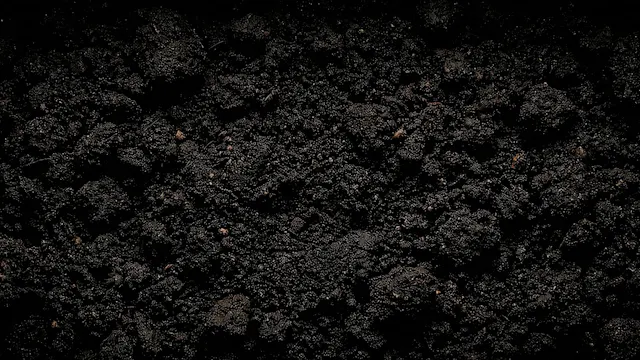 Expanded TS201 Bioinsecticide | NewLe...