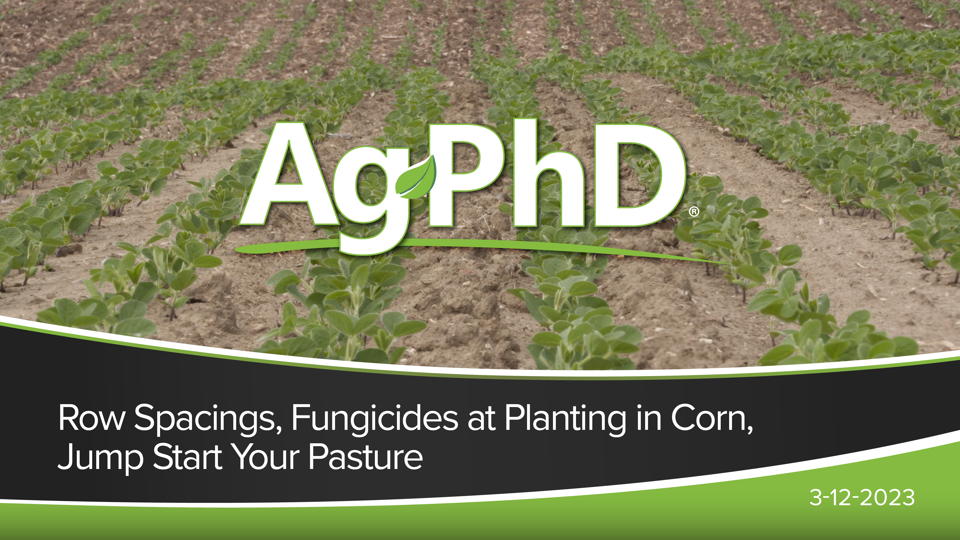 Row Spacings, Fungicides at Planting in Corn & Jump Start Your Pasture | Ag PhD