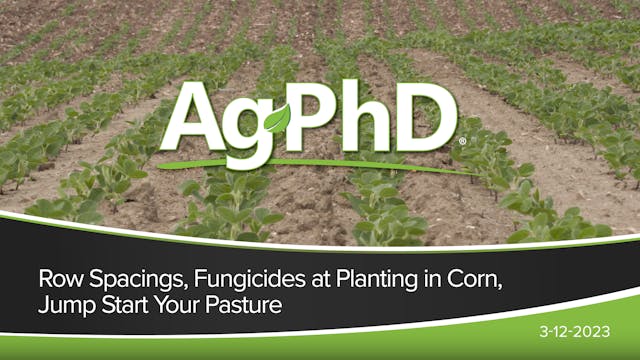 Row Spacings, Fungicides at Planting ...