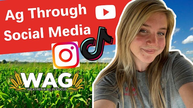 Ag Through Social Media | WAG in Focu...