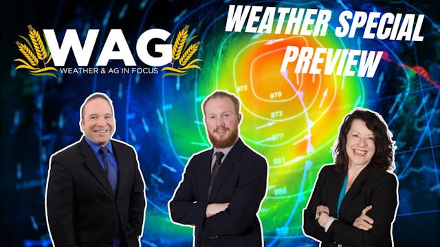 Weather Special Preview | WAG in Focu...