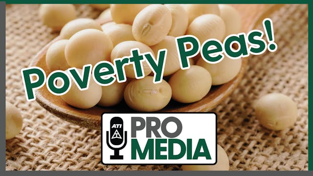 Poverty Peas! | ATI ProMedia 08/13/2024