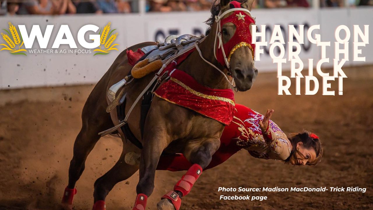 Hang on for the Trick Ride! WAG In Focus 8/23/23