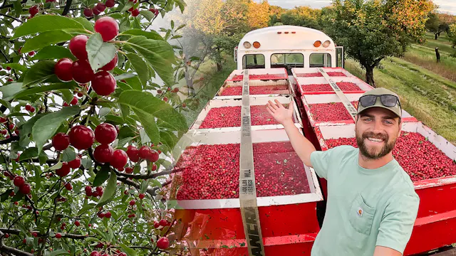 Harvest begins | Behind the scenes lo...