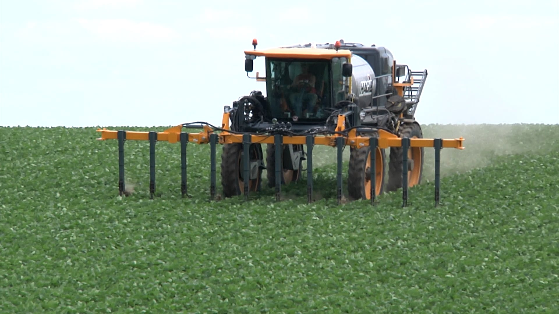Foliar Feeding Soybeans | AgroLiquid NS