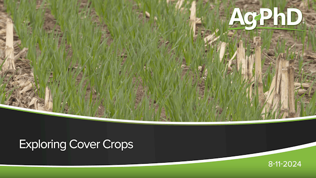 Exploring Cover Crops | Ag PhD