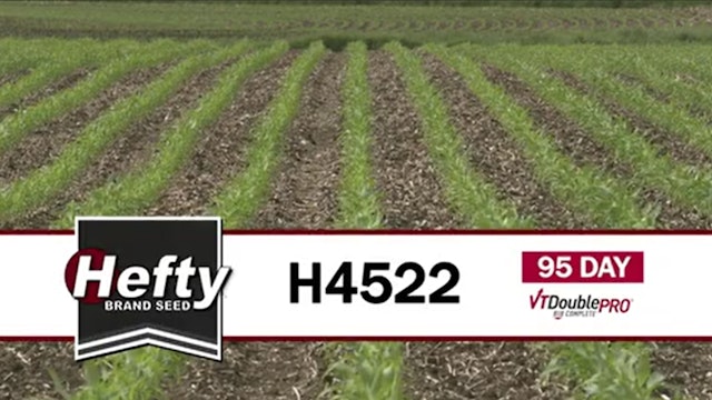 H4522 | 95-Day | VT2P