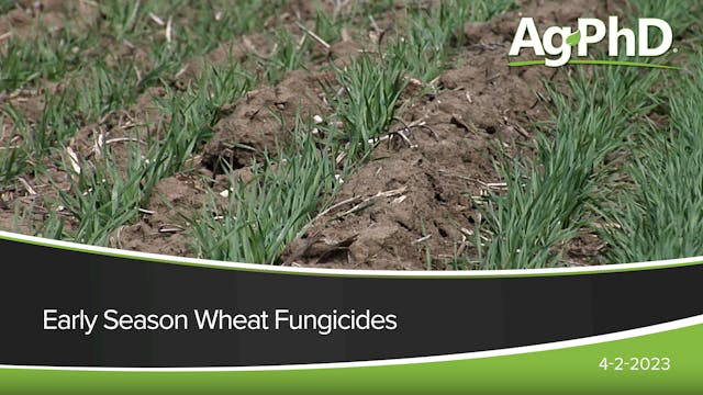 Early Season Wheat Fungicides | Ag PhD