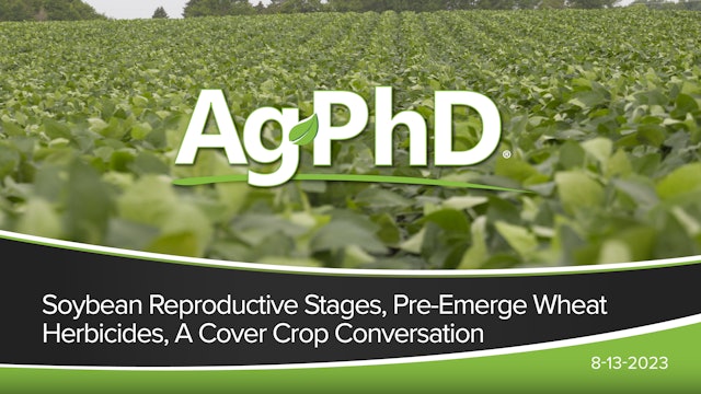 Soybean Reproductive Stages, Wheat Herbicides, Cover Crop Conversation | Ag PhD