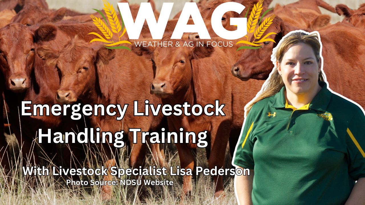 Emergency Livestock Handling Training | WAG in Focus 12/29/23