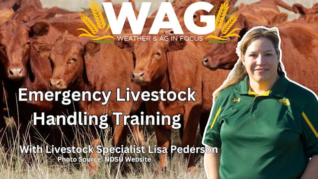 Emergency Livestock Handling Training...