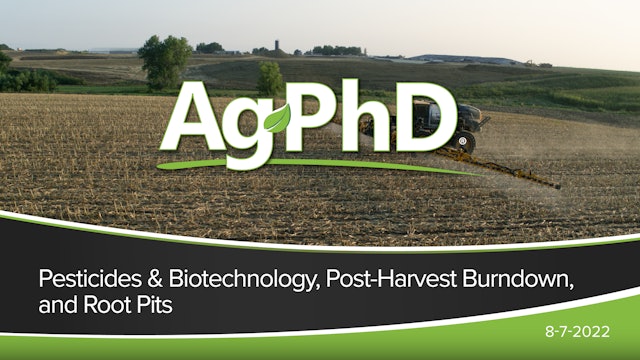 Pesticides & Biotechnology, Post-Harvest Burndown, and Root Pits
