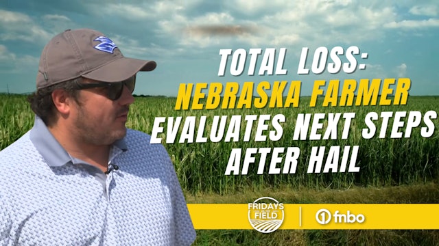Nebraska farmer talks next steps after devastating hail | Fridays in the Field