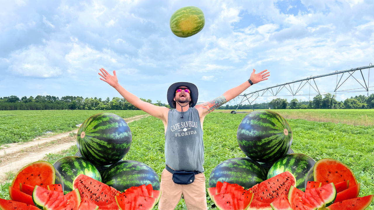 Florida Watermelon Harvest | Randy The Farmer