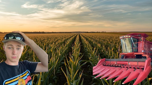 Why We’re Leaving Corn Behind | Farme...
