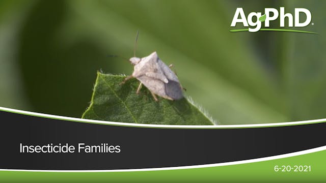 Insecticide Families | Ag PhD