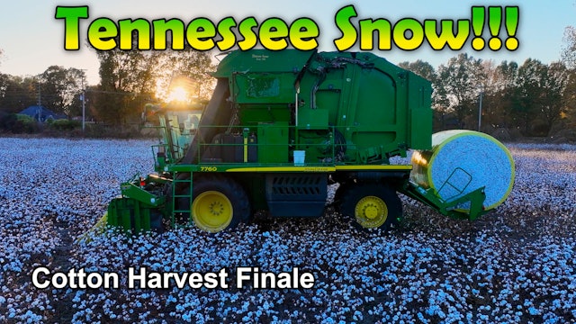 Ain't Nothin Like Tennessee Snow!!!  Cotton Harvest Finale | Griggs Farms