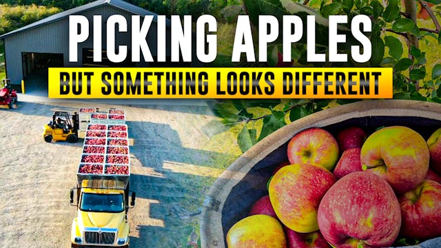 A Day Picking Apples on the Farm — It...