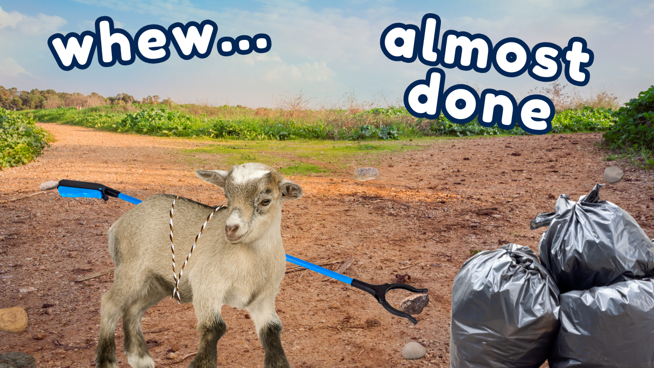 Modern Day Rock Picking | WAG in Focus 01-27-25