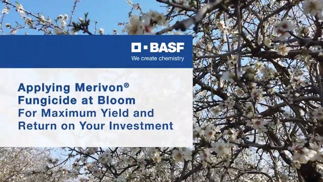 BASF Merivon Fungicide Frost Toleranc...