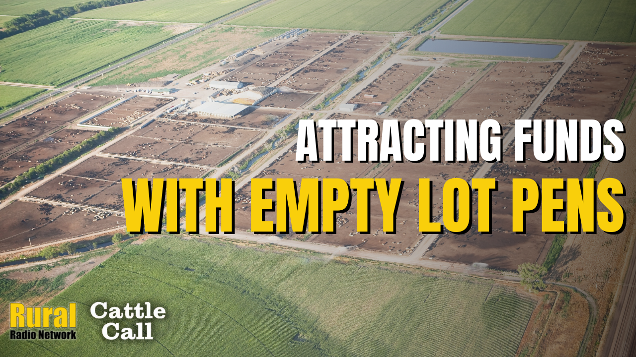 Attracting the Funds While Talking Empty Lot Pens | Cattle Call