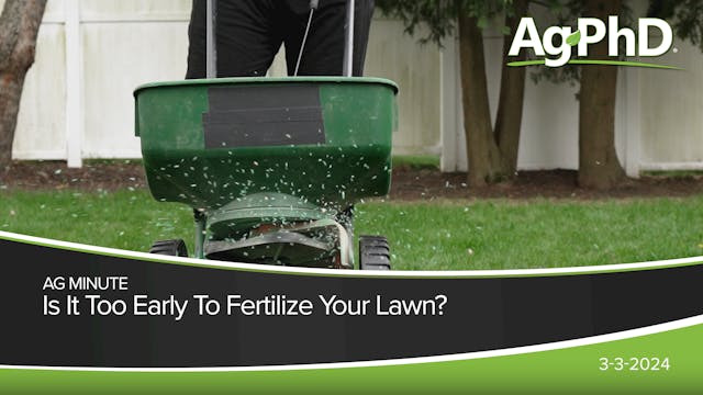 Is It Too Early To Fertilize Your Law...