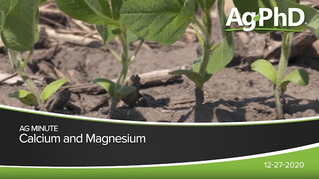 Calcium and Magnesium | Ag PhD