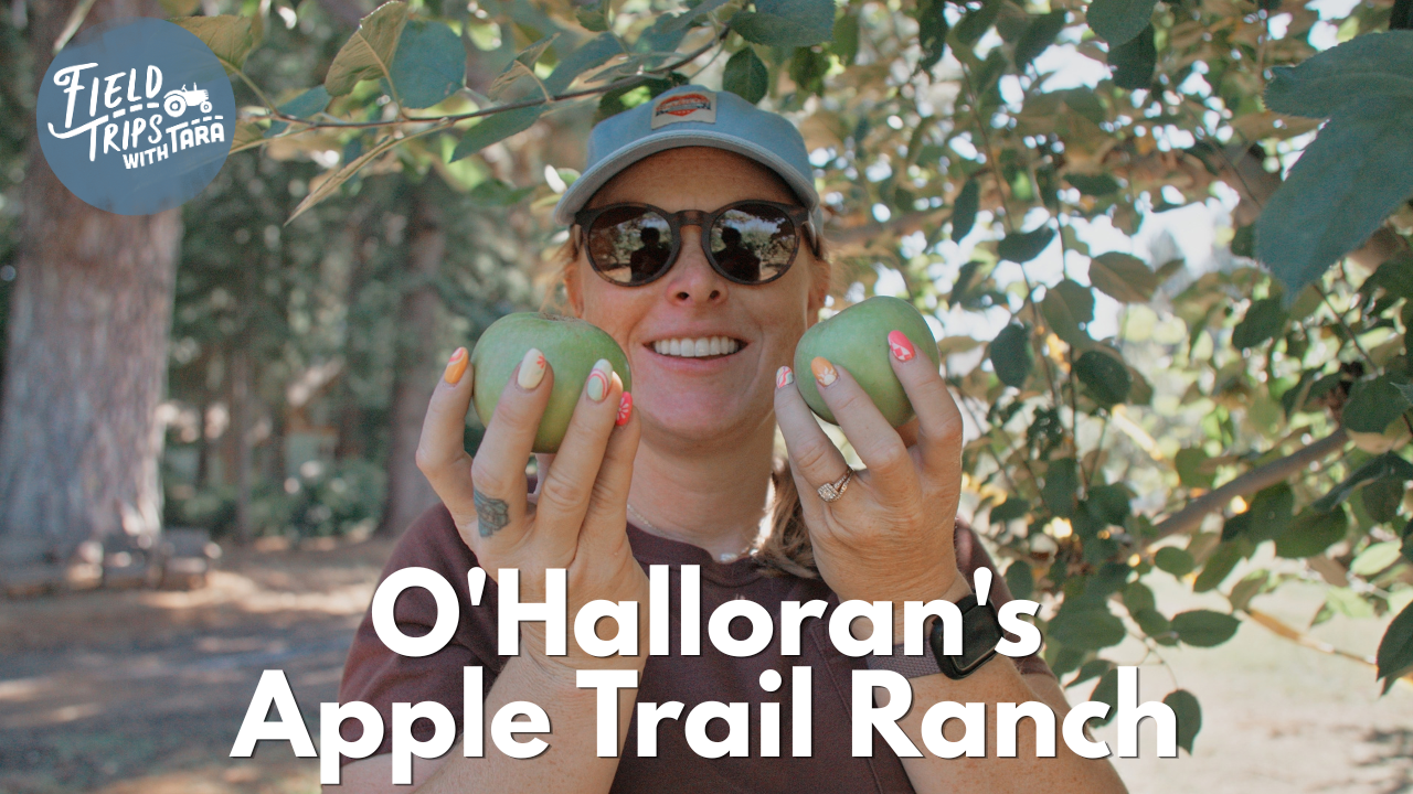 O'Halloran's Apple Trail