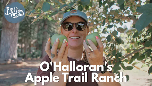 O'Halloran's Apple Trail | Field Trips