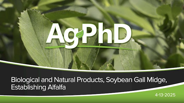 Biological and Natural Products, Soyb...